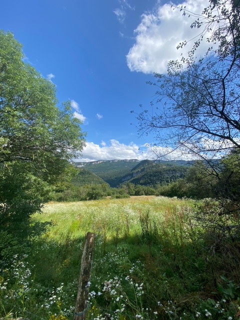 Qu’est ce que la Naturopathie ?